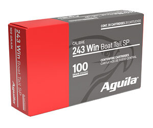 AGUILA 243WIN 100GR SP 20/200