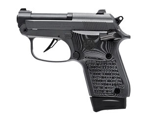 BERETTA BOBCAT 20X 22LR 2.4" 8RD GRY