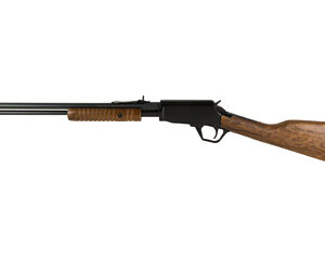 ROSSI GALLERY 22WMR 20" 12RD WOOD