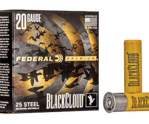 FED BLK CLOUD 20GA 3" #2 25/250