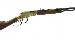 HENRY GOLDEN BOY 17HMR 20"