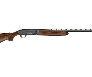 MSBRG 940 PRO FIELD 12/3/28 4RD WLNT