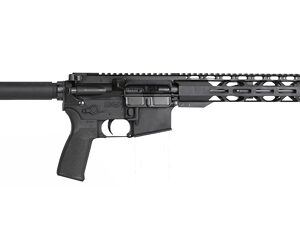 RADICAL 300BLK 10.5" RPR HG 30RD BLK
