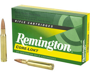 REM 3006 180GR PSP CL 20/200