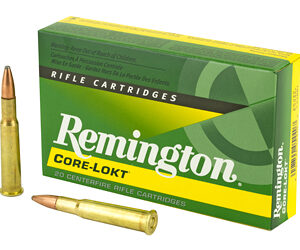 REM 30-40KRAG 180GR PSP CL 20/200