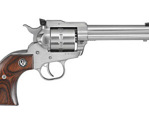 RUGER SNGL-TEN 22LR 5.5" STN 10RD AS