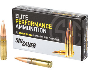 SIG AMMO 300BLK 125GR OTM 20/500
