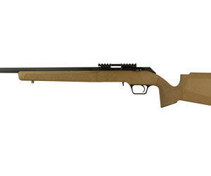 SPRGFLD 2020 RF 22LR 20" COY 10RD