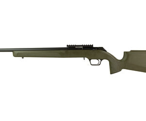 SPRGFLD 2020 RF 22LR 20" ODG 10RD