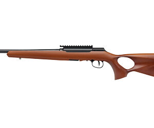 SAV A22 TIMBER 22LR 18" TB 10RD WOOD