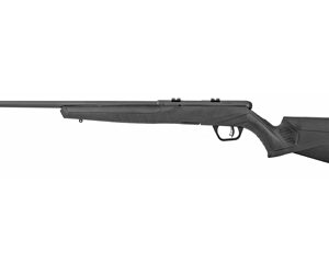 SAV B17 F 17HMR 21" 10RD BLK