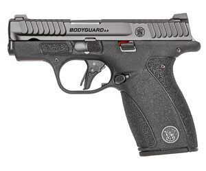 S&W BDYGRD 2.0 380ACP 2.75" 12RD NTS
