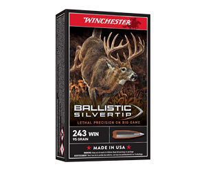 WIN BLSTC TIP 243WIN 95GR 20/200