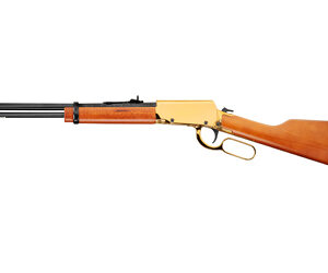 ROSSI RIOBRAVO 22LR 18" 15RD GOLD/HW