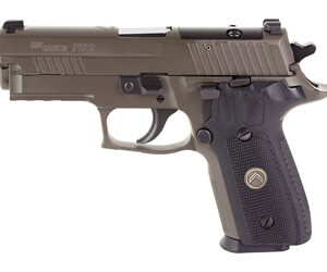 SIG P229 LEGION 9MM 3.9" 10RD GRY