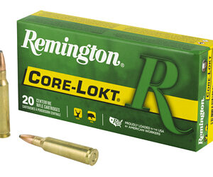 REM 250SAV 100GR PSP 20/200