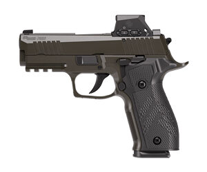 SIG 226 XLGN DA/SA 9MM 3.8" S-L PRO