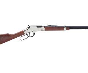 HENRY SILVER BOY 17HMR 20"