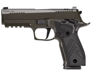 SIG 226 XLGN DA/SA 9MM 4.4" 10RD GRY