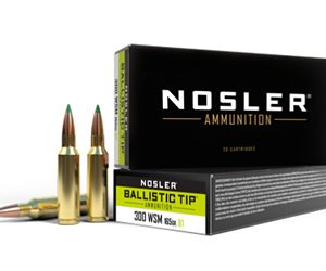 NOSLER BTA 300WSM 165GR BT SP 20/200