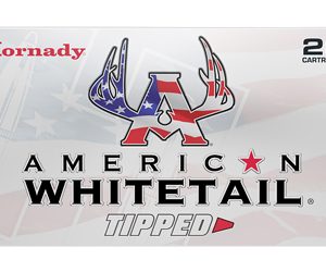 HRNDY AWT 243WIN 95GR SST 20/200