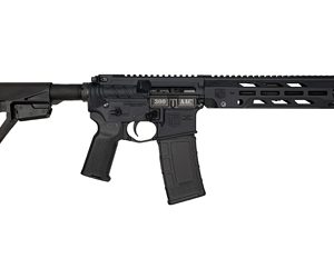 DBF DB15OBS 300BLK 10" 30RD BLK BRC
