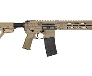 DBF DB15OBS 300BLK 10" 30RD FDE BRC