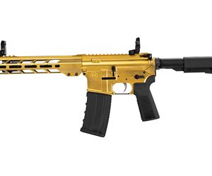 HI-PT HP-15 300BLK 10.5 30RD GLD BRC