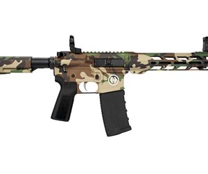 HI-PT HP-15 300BLK 10.5 30RD M81 BRC