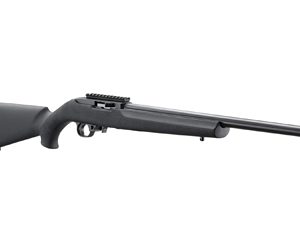 RUGER 10/22 20" TB HOGUE 10RD BLK
