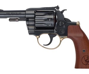 HENRY H16 DEADEYE 22LR 10RD 4" GUN