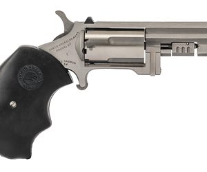 NAA RECLUSE 22WMR 2" SWINGOUT 5RD AS