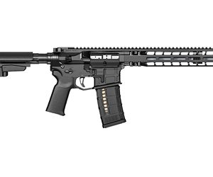 RADIAN MODEL 1 10.5" 223WLD BLK PSTL