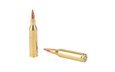 FED FUSION 243WIN 95GR FSP 20/200 - Image 4